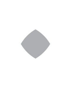 Lustro PU149 88x148 - srebrny